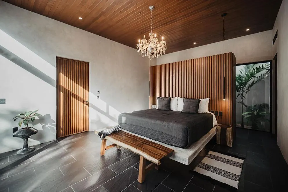 Kings Mansion For 26 Guests! Apartment Tulum