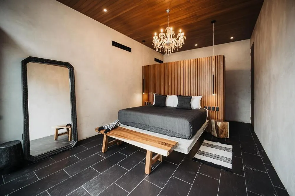 Kings Mansion For 26 Guests! Apartment Tulum Mexico