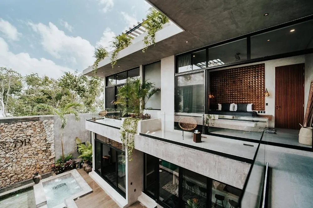 Kings Mansion For 26 Guests! Apartment Tulum Mexico